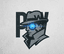PIwitness